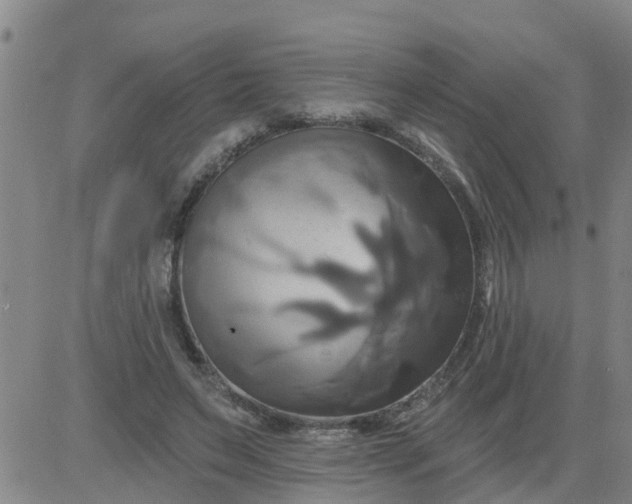 X0000084020495200703022100