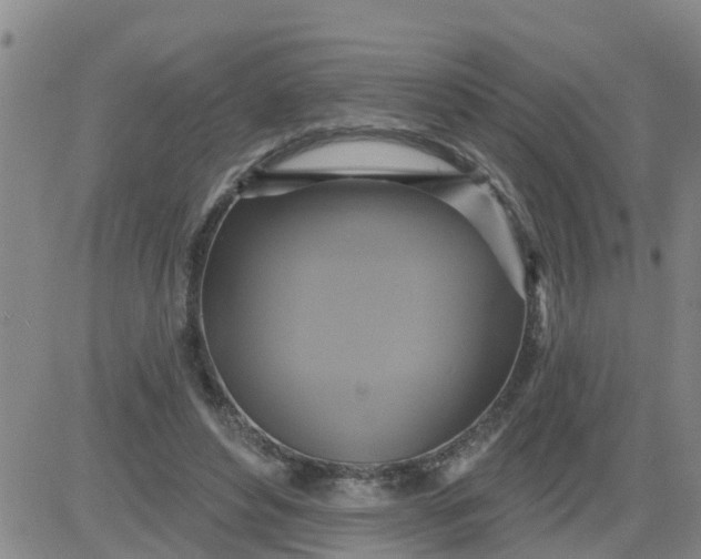 X0000084020496200703022100