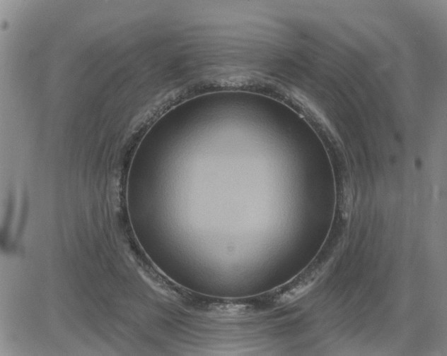 X0000084020497200703022100