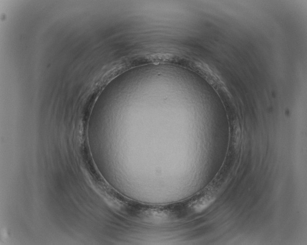 X0000084020498200703022100