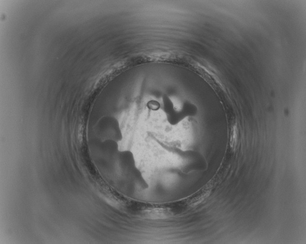 X0000084020499200703022100