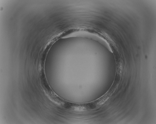 X0000084020500200703022100