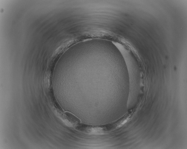 X0000084020501200703022100