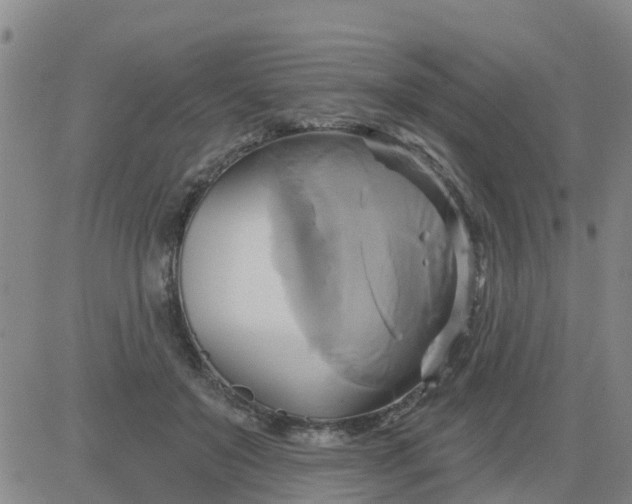 X0000084020503200703022100