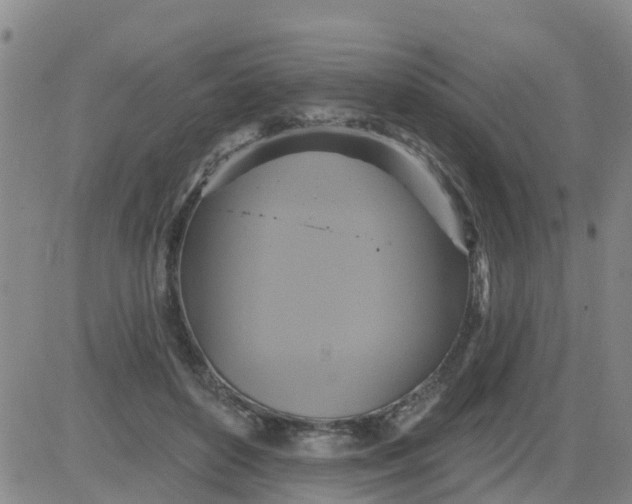 X0000084020504200703022100