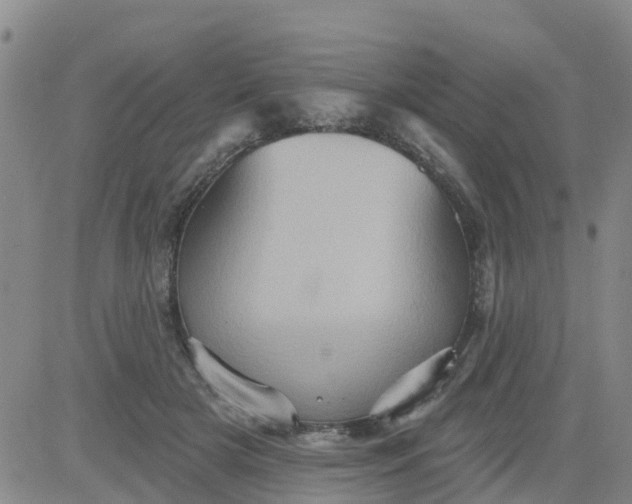 X0000084020505200703022100