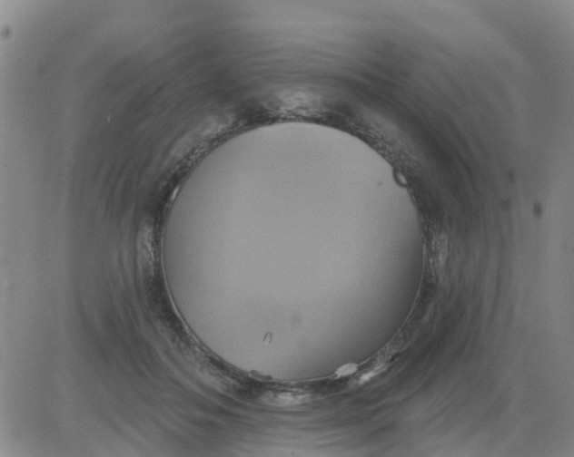 X0000084020506200703022100