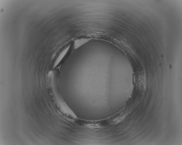 X0000084020508200703022100