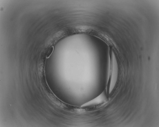 X0000084020509200703022100