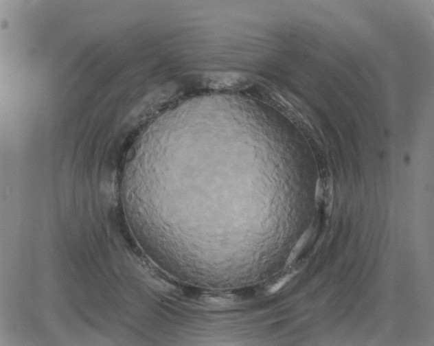 X0000084020510200703022100