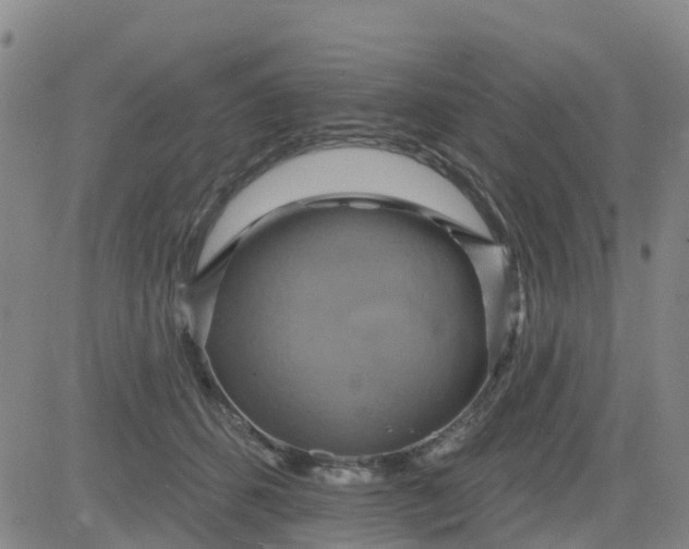 X0000084020512200703022100