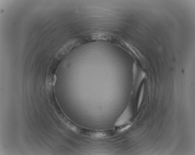 X0000084020513200703022100