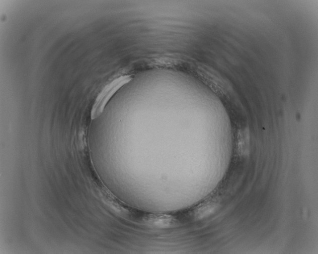 X0000084020514200703022100