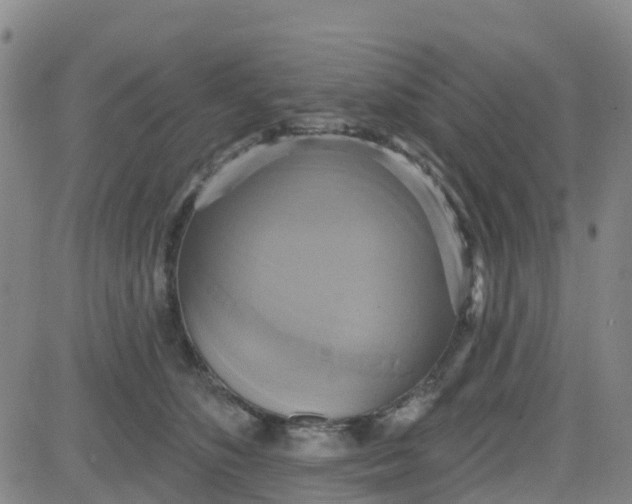 X0000084020516200703022100