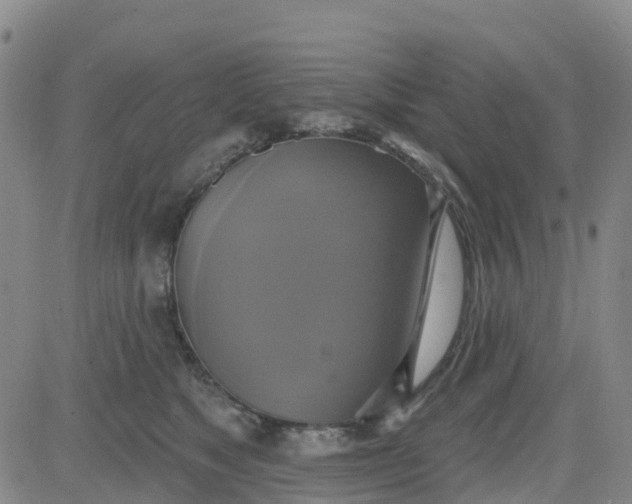 X0000084020517200703022100