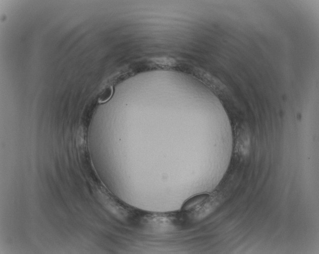 X0000084020518200703022100