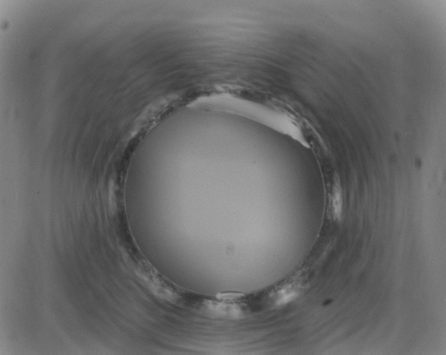 X0000084020520200703022100