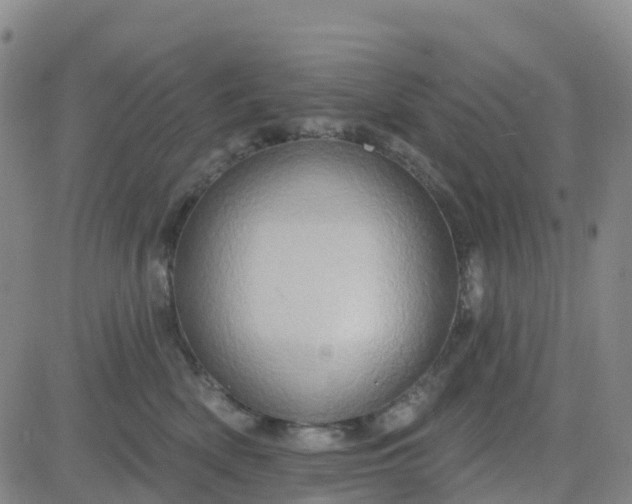 X0000084020522200703022100