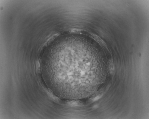 X0000084020523200703022100