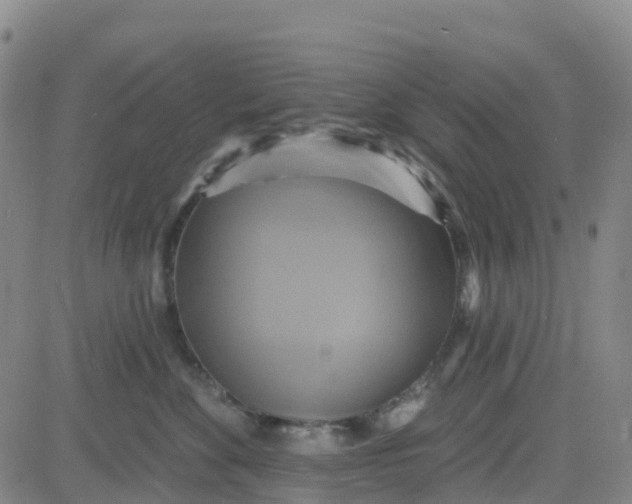 X0000084020524200703022100