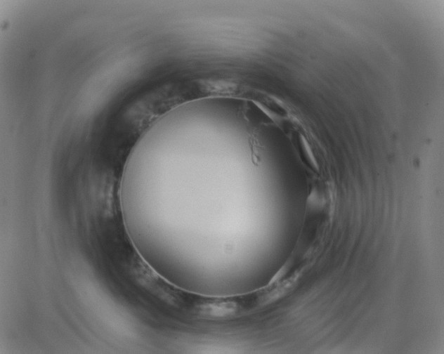 X0000084020525200703022100