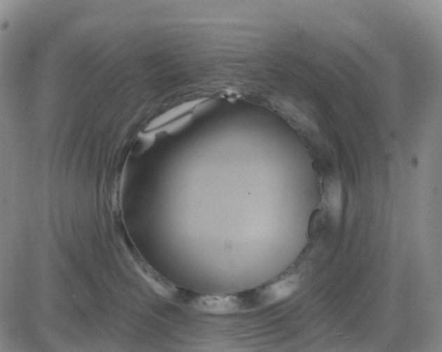 X0000084020526200703022100