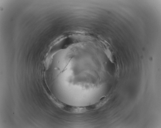 X0000084020527200703022100