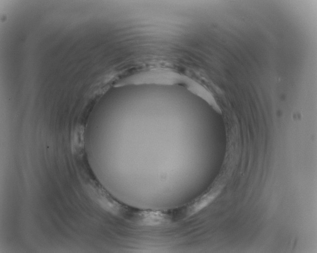 X0000084020528200703022100