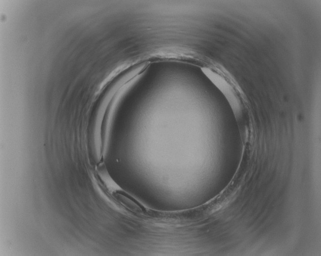 X0000084020530200703022059