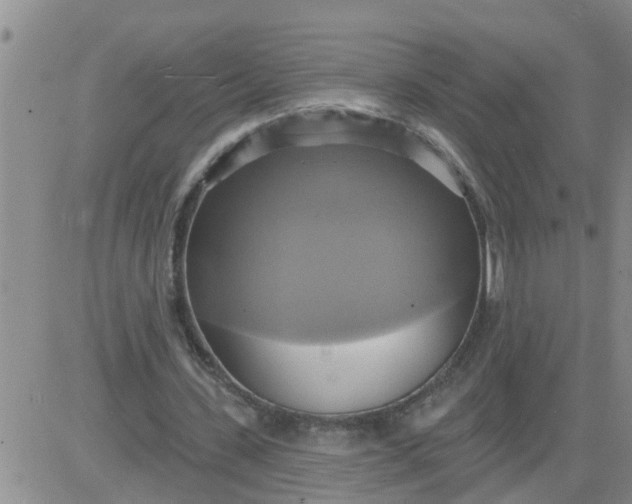 X0000084020531200703022059