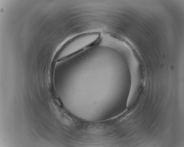 X0000084020532200703022059