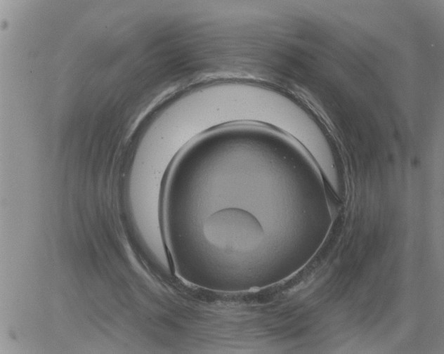 X0000084020534200703022059