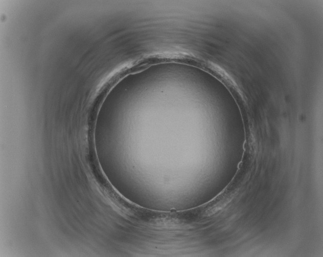 X0000084020535200703022059