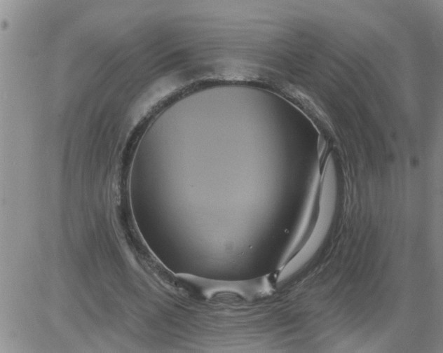 X0000084020536200703022059