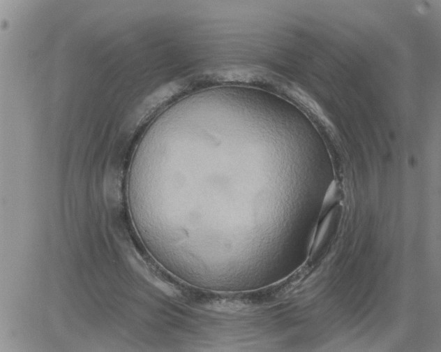 X0000084020537200703022059