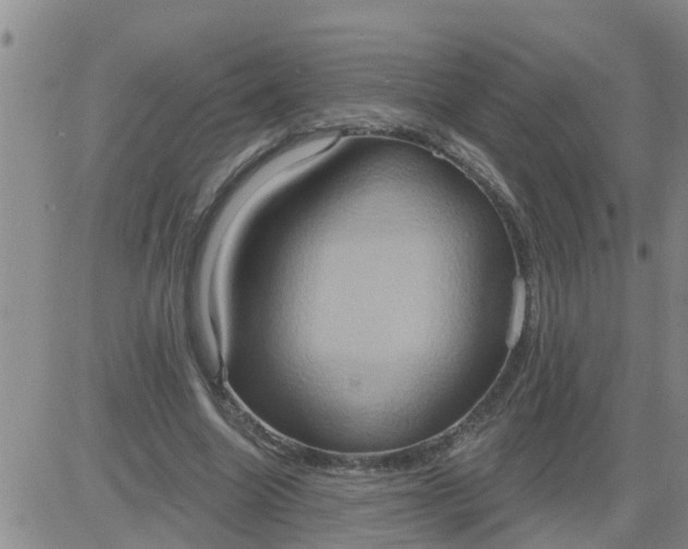 X0000084020538200703022059