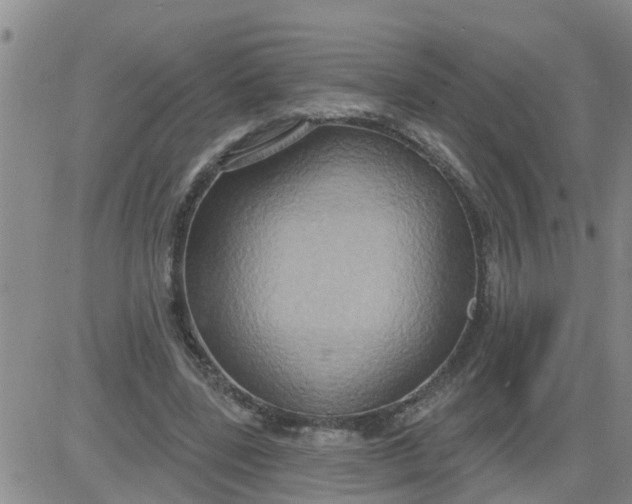 X0000084020539200703022059