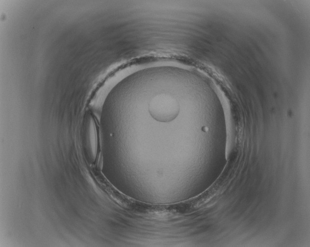 X0000084020540200703022059