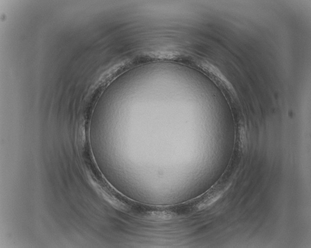 X0000084020541200703022059