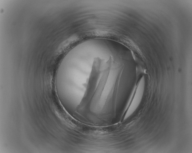 X0000084020542200703022059