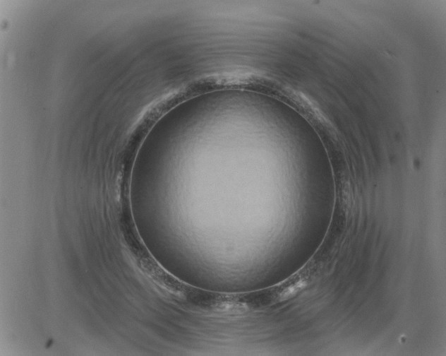 X0000084020543200703022059