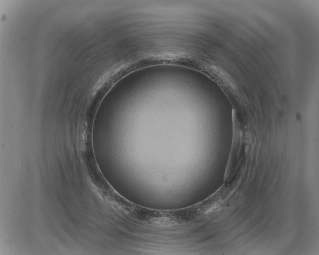 X0000084020544200703022059