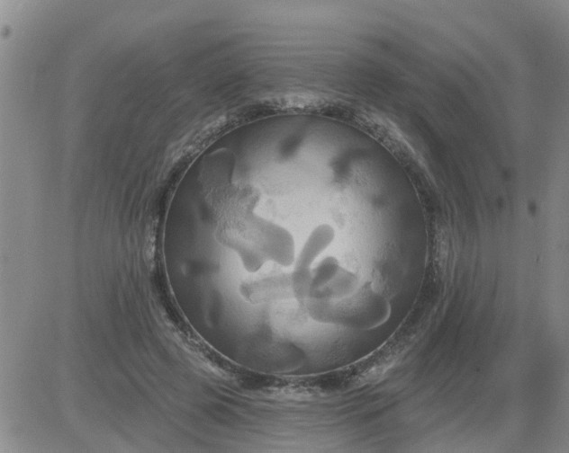 X0000084020545200703022059