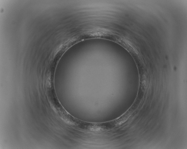 X0000084020547200703022059