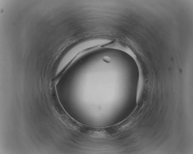 X0000084020548200703022059