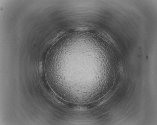 X0000084020549200703022059