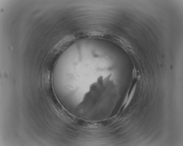 X0000084020550200703022059