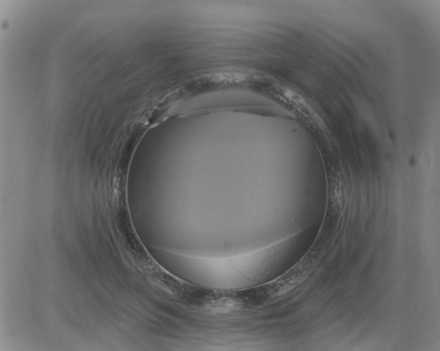 X0000084020551200703022059