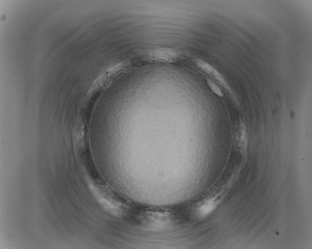 X0000084020552200703022059