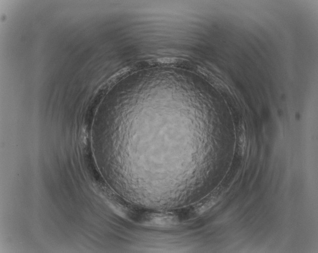 X0000084020555200703022100